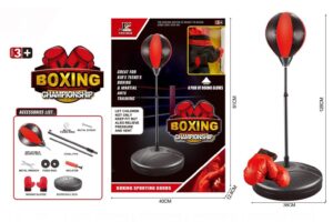 Boxing Championship