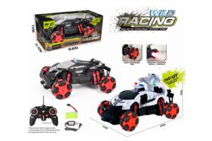 Wild Racing Car